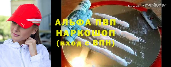 прущие грибы Вязники