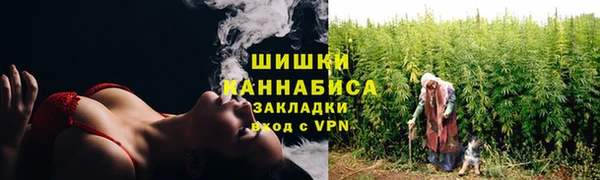 apvp Вязьма