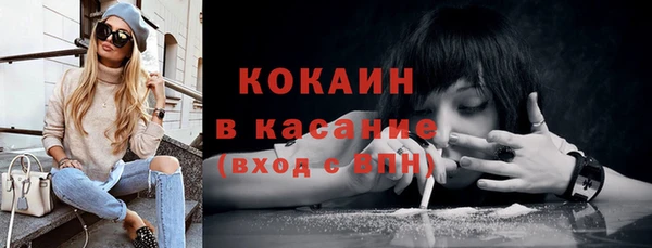 амф Вяземский