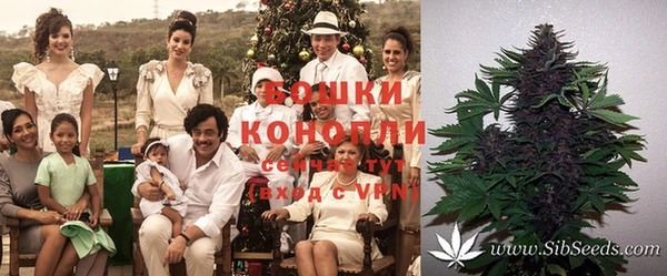 амф Вяземский