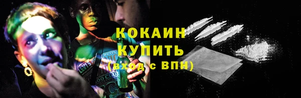 прущие грибы Вязники