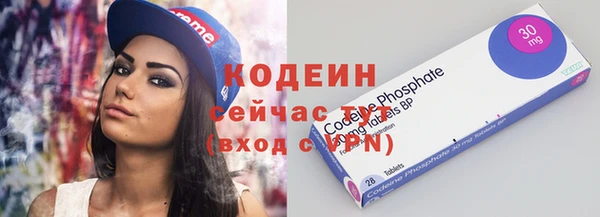 прущие грибы Вязники