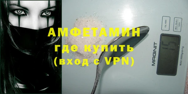 амф Вяземский