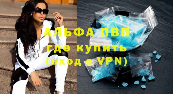 прущие грибы Вязники