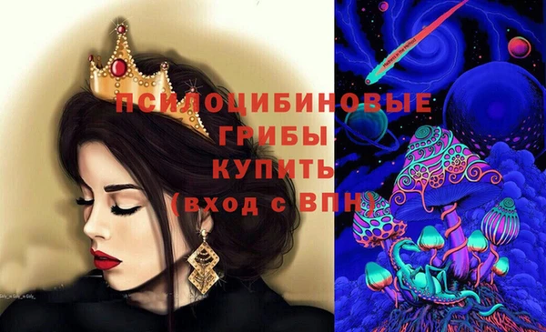 apvp Вязьма
