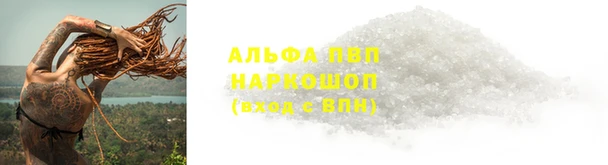 прущие грибы Вязники