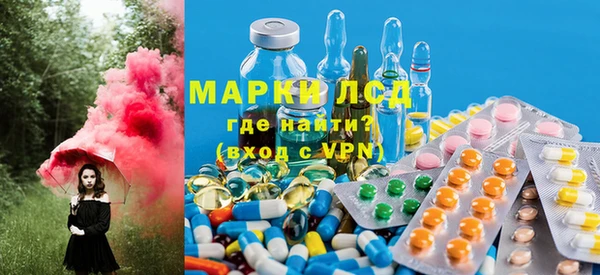 амф Вяземский