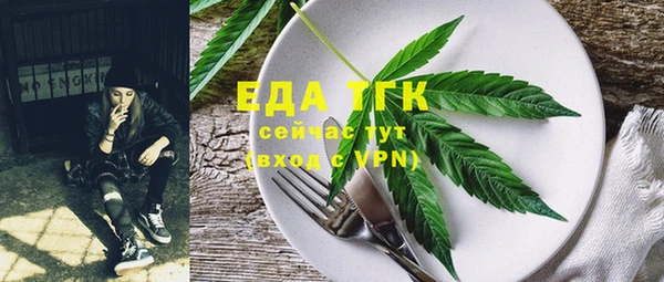 прущие грибы Вязники