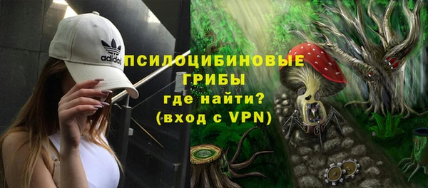 прущие грибы Вязники