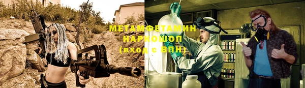 прущие грибы Вязники