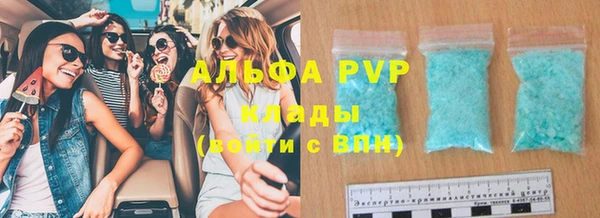 амф Вяземский