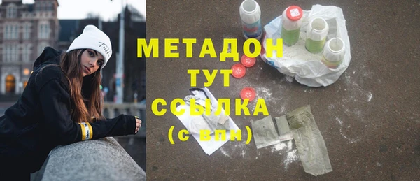 прущие грибы Вязники